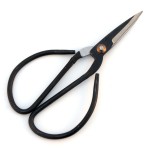CS-12p - Carved handle shears 120mm box of 10